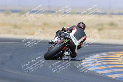 media/May-13-2023-SoCal Trackdays (Sat) [[8a473a8fd1]]/Turn 11 Backside (945am)/